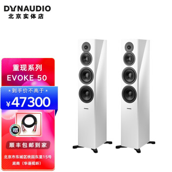 丹拿（DYNAUDIO）重现系列 Evoke 50 HiFi无源落地音响发烧音箱2.0声道 EVOKE 50高光白