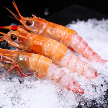 沢素湾鳌虾特大号刺身级国产深海新鲜鲜速冻海鳌虾活捕鲜冻日料刺身1