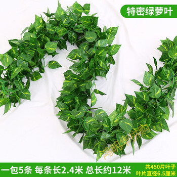 仿真葡萄叶藤条藤蔓绿植物树叶管道吊顶装饰花藤假花塑料绿叶缠绕90片绿萝叶5条 送蝴蝶 绑丝 图片价格品牌报价 京东 仿真葡萄叶藤条藤蔓绿植物树叶管道吊顶装饰花藤假花塑料绿叶缠绕90片绿萝叶5条 送蝴蝶 绑丝 图片价格品牌报价 京东