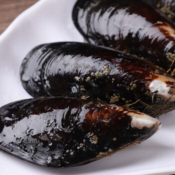 当天现捞新鲜无沙大海虹贻贝青口贝当季鲜活淡菜实发三斤装当天海捕