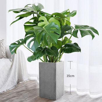 龟背竹植物盆栽室内绿植客厅大龟背叶北欧开背盆景 龟背竹70-80cm【高