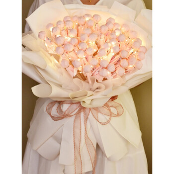 紫色19颗棒棒糖 满天星 手提袋