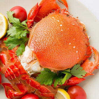 澳洲老虎蟹3只600-700g/只 进口新鲜螃蟹肉质白皙鲜美贵妃蟹生鲜