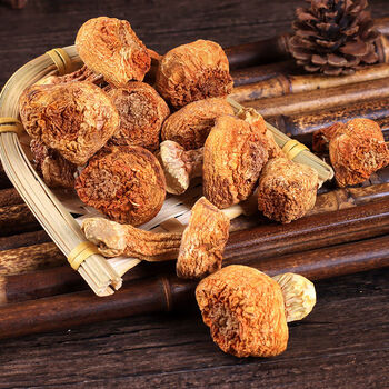 云南姬松茸500g干货农家松茸菌巴西菇菌菇干货蘑菇煲汤100g 【-饭店】