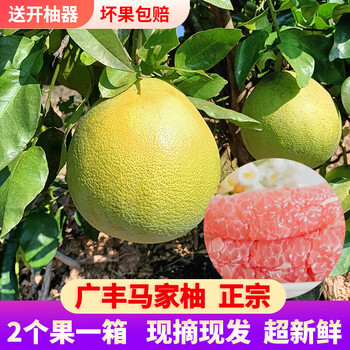 贝娇芬 江西马家柚子广丰现摘纯甜红心柚子上饶特产柚子当季孕妇水果 