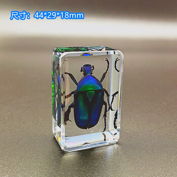 浅灰色 苹绿唇花金龟【图片 价格 品牌 报价】-京东