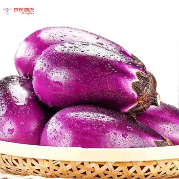 湖南紫色圆茄子 农家自种土短茄子新鲜当季蔬菜 1500g
