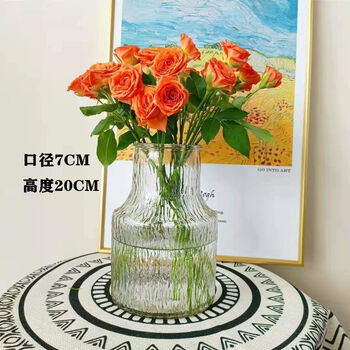 欧式透明玻璃花瓶简约鲜花干花玫瑰花瓶客厅摆件装饰创意水养插花冰川 图片价格品牌报价 京东