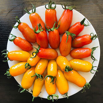 红黄花生小番茄柿子409小柿子圣女果孕妇水果特价顺丰 5斤红