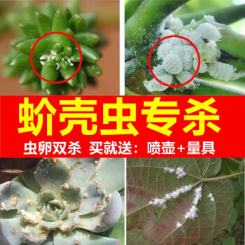 蚧壳虫专用药多肉太阳花幸福树柿子树兰花药介壳虫介蚧必治杀虫剂1000ml 图片价格品牌报价 京东