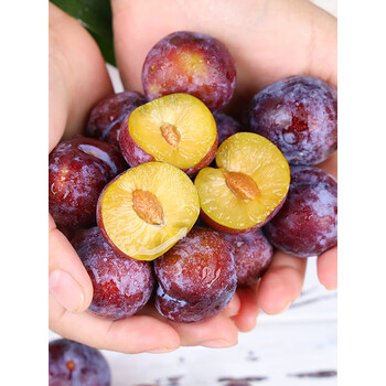 十里馋脆红李子新鲜水果当季整箱珍珠青红脆四川脱骨脆李红脆李9斤9斤