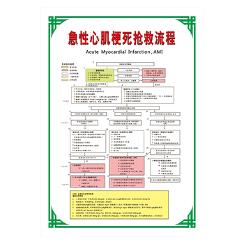 医院制度急救程序挂图过敏性休克抢救流程图示意图墙贴纸wsb169 wsb