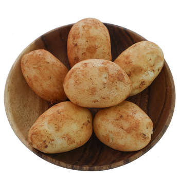 柴门庄园 云南高原红土新鲜大洋芋大土豆大马铃薯白皮白心沙糯甜 8斤