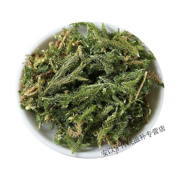 云南野生中药材伸筋草 筋骨草 舒筋草石松狮子 500g 500g