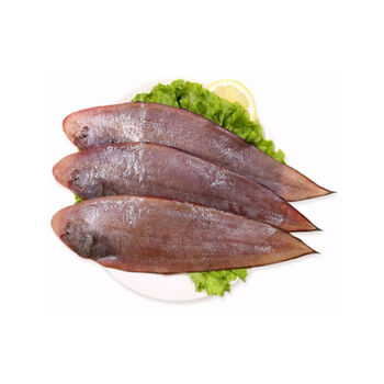 荟鲜港 龙利鱼 海捕新鲜龙利鱼舌头鱼冷冻踏板鱼鳎米鱼鲜活非巴沙鱼