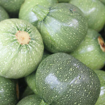 云南新鲜嫩南瓜小圆瓜批发圆形西葫芦绿皮青皮嫩瓜时令蔬菜 精选嫩圆