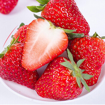现摘丹东99红颜奶油草莓 久久红颜草莓 新鲜水果 真空包装3斤【中大果