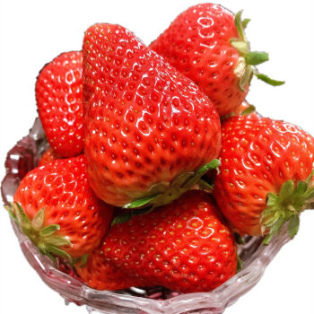 云南红颜草莓新鲜红颜当季水果特产6斤装