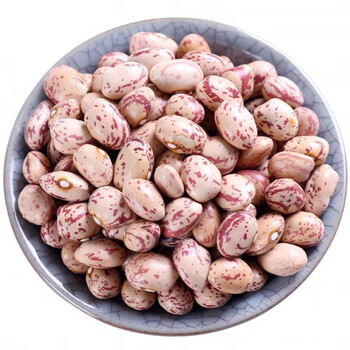 云南奶花芸豆花生豆雀蛋豆花豆子孔雀豆圆粒豆类五谷杂粮2斤5斤 2斤