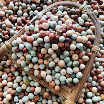 20斤10斤5斤豌豆鸽子饲料豆类鸽粮豌豆混合花豌豆高蛋白信鸽饲料25kg