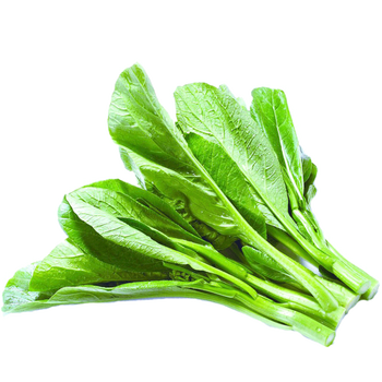 广东小菜心新鲜蔬菜广东新鲜小菜心3斤油菜菜心生鲜团建过年送礼送人