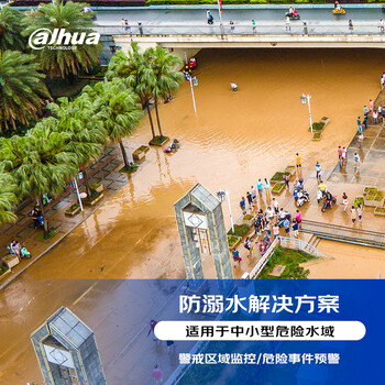 大华（dahua）防溺水标准解决方案（摄像头+录像机+交换机+软件）危险水域 提供设备安装调试服务