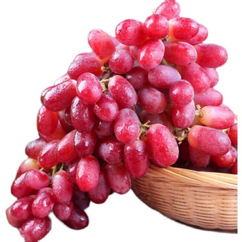 青尊园新疆无籽红提精品小蜜蜂克伦生新鲜红宝石脆甜无核孕妇水果 5斤