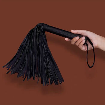 飘窗戒尺sp工具套装藤条spank道具调教小皮鞭sm鞭子鞭打 02 散鞭中