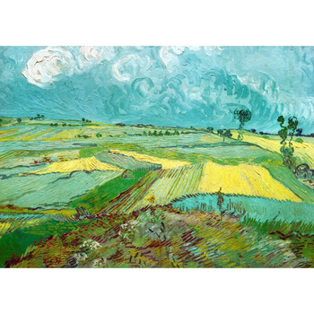 梵高装饰画梵高油画世界名画星空向日葵海报相框墙画客厅卧室餐厅酒店