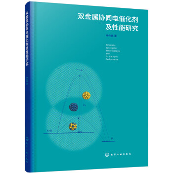 双金属协同电催化剂及性能研究 李作鹏 化学工业出版社 9787122397461