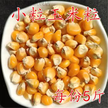 狗尾草喂鸽子小粒玉米粒10斤东北干老玉米粒大粒苞米斤玉米小粒玉米粒5斤 图片价格品牌报价 京东