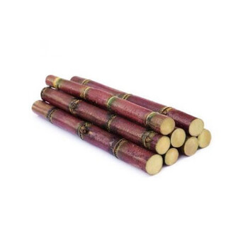 高产甘蔗种子黑皮甘蔗 四季播种 北方甘蔗 南方甘蔗 甜杆种子 红皮100