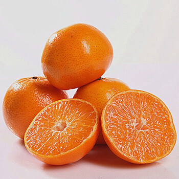 精选鲜甜冰糖橘9斤【图片 价格 品牌 报价】-京东