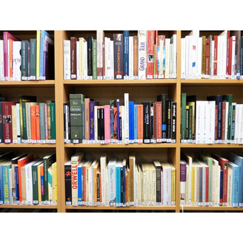 书架背景布3d立体新款书房直播背景书柜办公室装饰立体主播背景网红挂