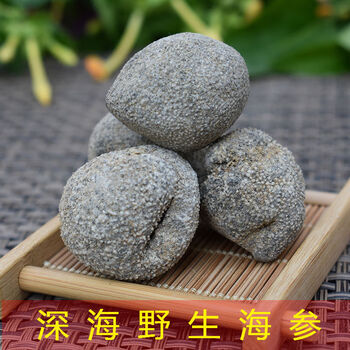 海参印尼球参越南珍珠参海参散装250g-500g非即食产品 23头左右半斤