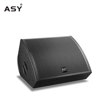 asy品牌(asy)专业无源舞台音箱 小型舞台演出操场多功能厅会议室全频