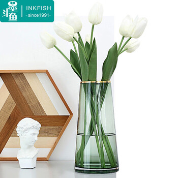 墨斗鱼玻璃花瓶 墨斗鱼玻璃花瓶北欧轻奢桌面摆件创意水培植物富贵竹植物百合插花雅绿金色描边0425 行情报价价格评测 京东