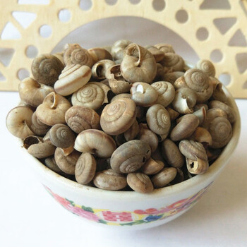 中药材蜗牛壳 白螺蛳壳 白螺蛳 旱蜗牛瓜牛里牛250克 500克【旱蜗牛】