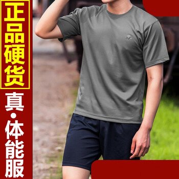 体能服陆军灰色短袖单上衣裤体能服男陆体能套装夏季3543新式灰色单