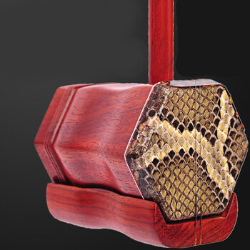 高档红木二胡乐器全套高级专业初学者民族乐器铜轴细鳞精品二胡琴红木