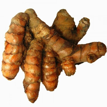 北京同仁堂原料北京同仁堂原料大山新鲜正宗野生姜黄小黄姜土姜黄月子
