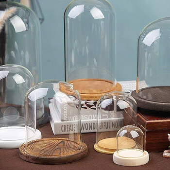 昆虫标本展示盒防尘 蝴蝶昆虫标本展示盒植物岩石矿物矿石标本盒玻璃