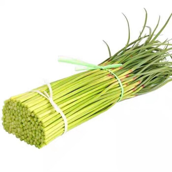 蒜苔河南新鲜脆嫩短蒜苔红帽蒜薹嫩蒜苔新鲜当季蔬菜整箱火锅食材生鲜