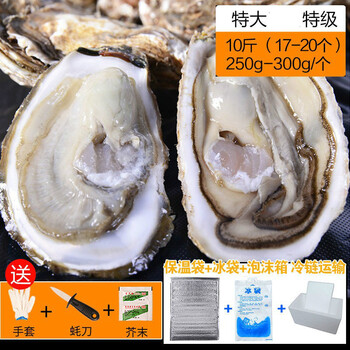 牡蠣殻 100袋 Fontec Co Jp