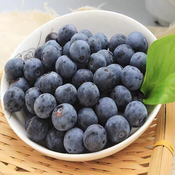 云南高山鲜蓝莓新鲜水果健康轻食鲜果现摘当季水果孕妇蓝莓果约125g盒