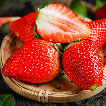 龙觇 现发大凉山奶油草莓露天新鲜红颜大草莓水果 精选草莓(顺丰)