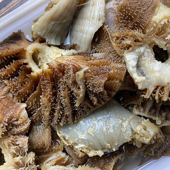 毛肚肚头边角料牛毛肚头水发毛肚七成熟牛百叶千层肚重量含水 毛肚肚