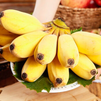 广西小米蕉新鲜水果生鲜小芭蕉生果软糯鸡蕉现摘水果8斤装