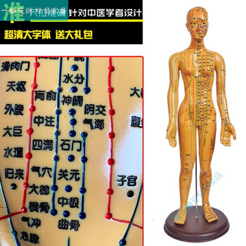 人体穴位对症挂图超清晰中医针灸穴位人体模型经络图人体穴位模型人小