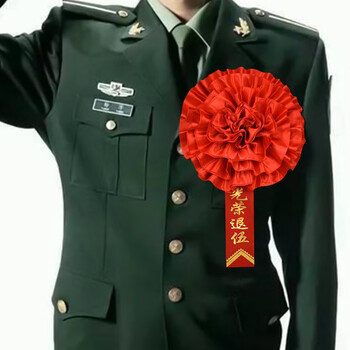 绢布绒面光荣退伍纪念品表彰新兵参军入伍光荣花 16cm光荣退伍胸花一